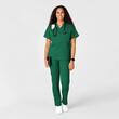 Pantaloni uniforma medicala, WonderWork, 505-HUNT