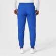 Pantaloni uniforma medicala,Wink PRO, 5819-ROYA