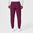 Pantaloni uniforma medicala, WonderWink PRO, 5819-WINE