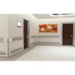 Protectie perete DC140