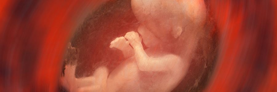 Ce rol are un cardiotocograf intr-un cabinet de obstetrica-ginecologie