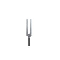 Diapazon medical Riester, tip C-3 1024Hz, aluminiu
