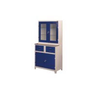 Dulap medical pentru anestezie TM-G 7006