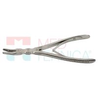 Cleste Marquartd 20cm
