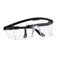 Ochelari panoramici 0808-TRA,din policarbonat,lentile transparente