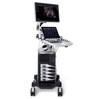 Ecograf SonoScape P55 Elite