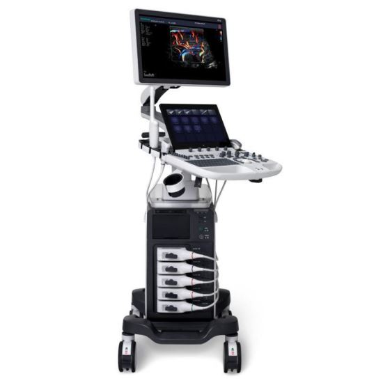 Ecograf SonoScape P55 Elite
