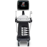 Ecograf SonoScape S12